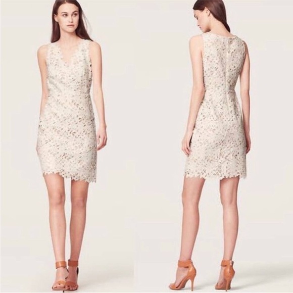 LOFT White Floral Lace Overlay V-Neck Dress Size 8 - Picture 1 of 6